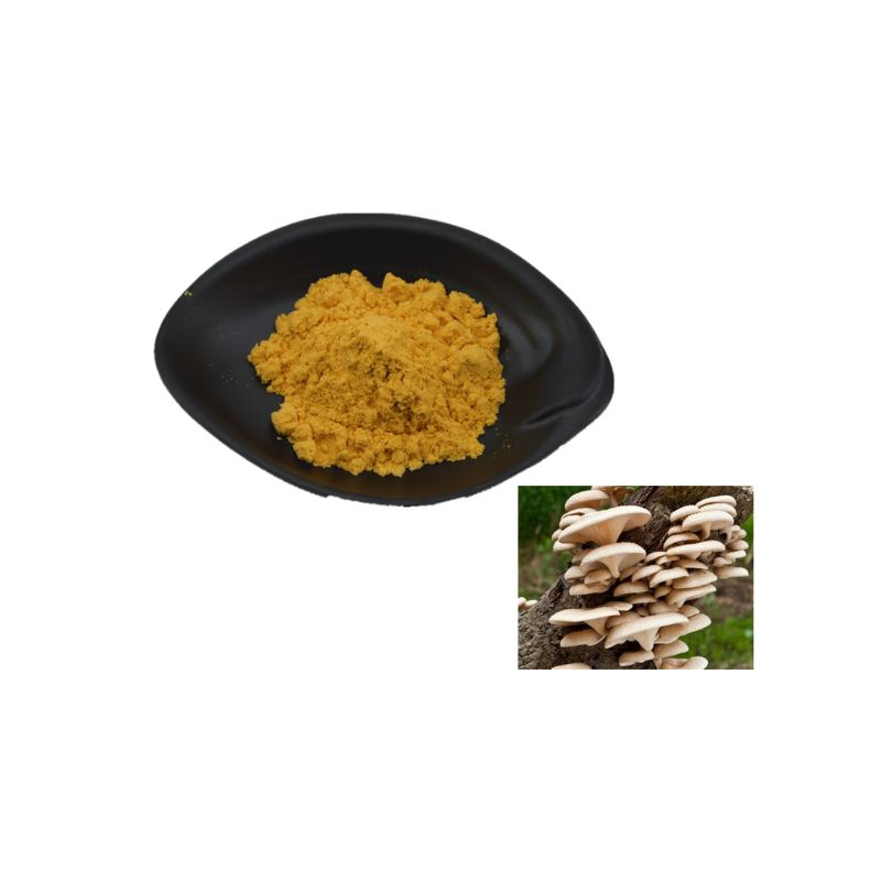 Oyster mushroom extract Powder