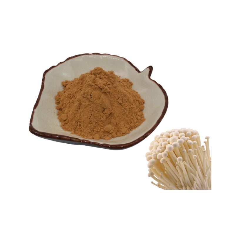 Enoki mushroom extract Powder