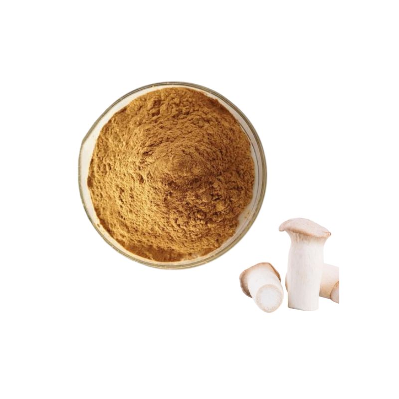 Pleurotus Eryngii extract powder