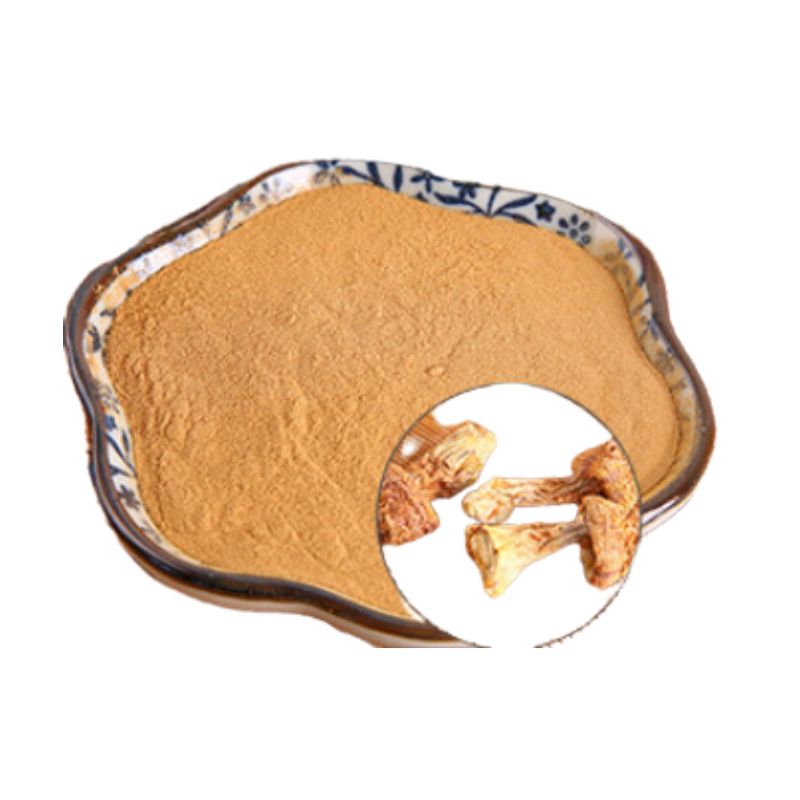 Agaricus blazei Extract powder