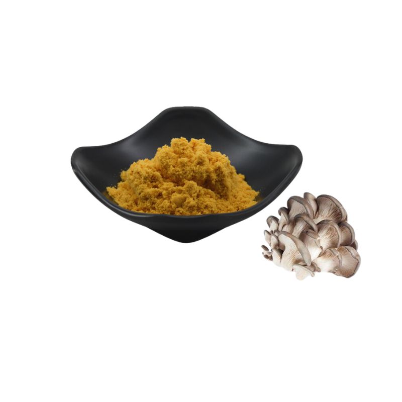 Oyster mushroom extract Powder