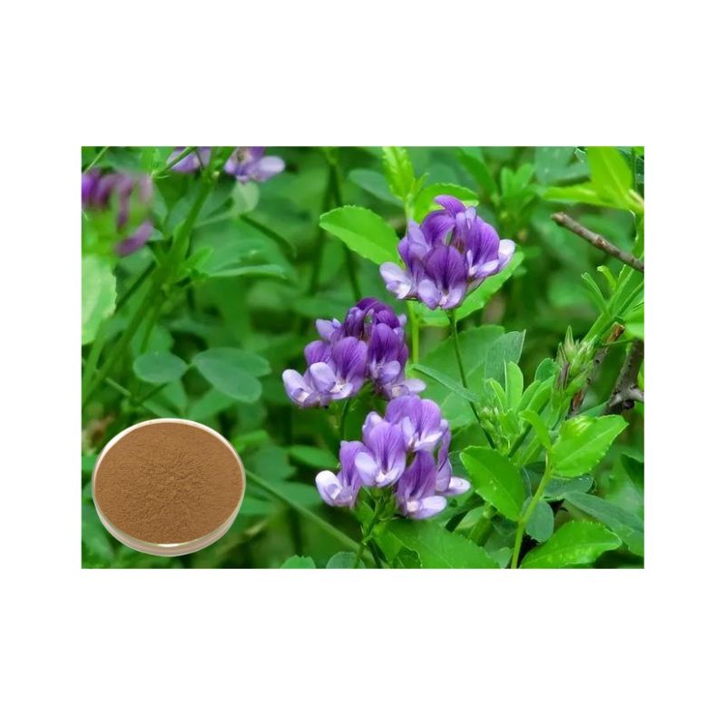 Alfalfa extract