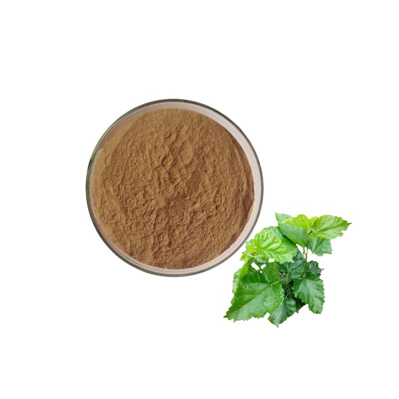  Mulberry leaf extract