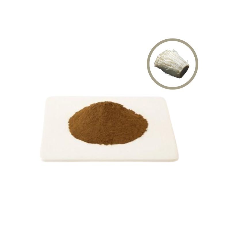 Enoki mushroom extract Powder