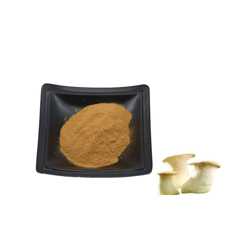 Pleurotus Eryngii extract powder