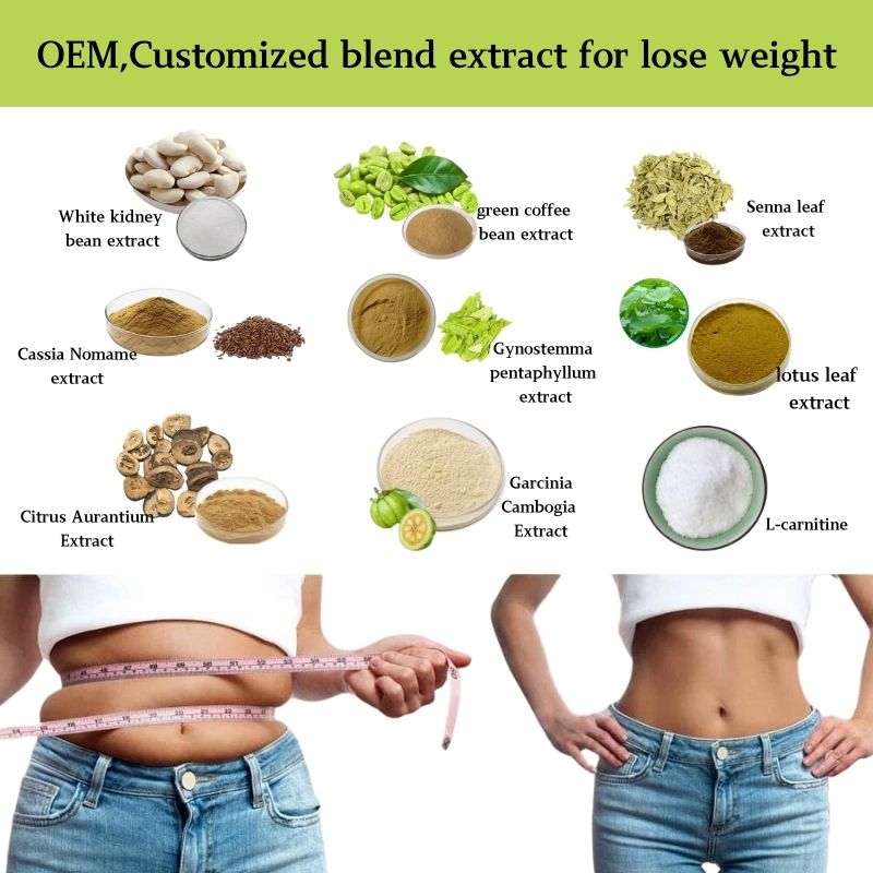 OEM,Customized blend extract for lose weight