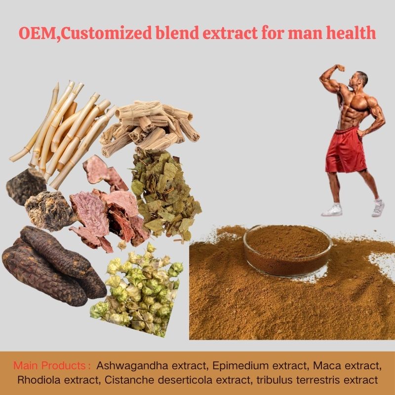 OEM,Customized blend extract for man health